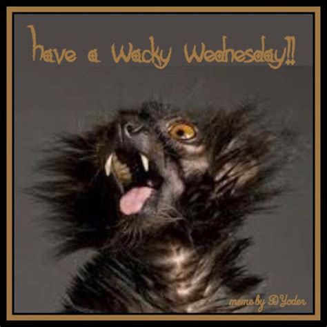 Have A Wacky Wednesday Lemur Photo By Joel Sartore Wacky Wacky
