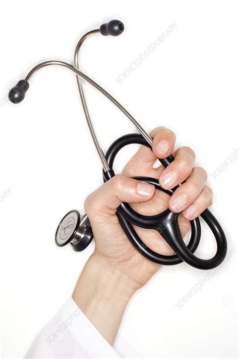 Stethoscope Stock Image F0043299 Science Photo Library