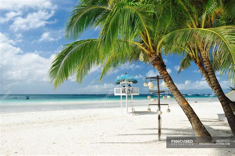 Beautiful Palm Trees At Sandy Beach At Boracay Island