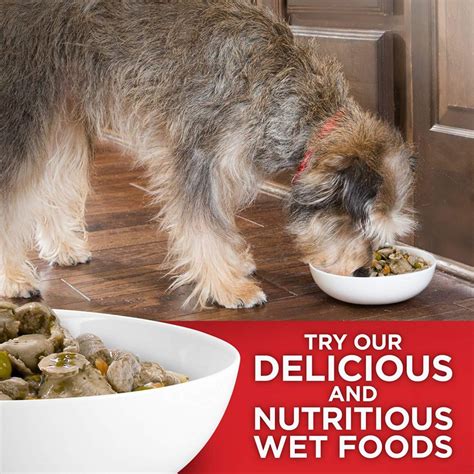 The puppy caregiver can blend a 50:50 portion of canned wet puppy food with a milk replacer in a flat saucer, gradually reducing the amount of milk replacer until you're only giving them puppy food. Hill's Science Diet Puppy Food, Small & Toy Breed Chicken ...