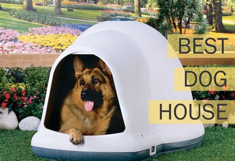 Homeward Bound The Best Dog House For Your Hound