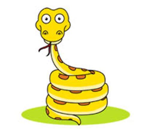 Download High Quality Snake Clipart Coiled Transparent Png Images Art