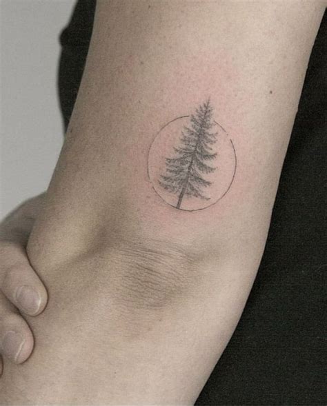 42 Pine Tree Tattoo Ideas To Try In February 2021 Pine Tattoo Pine