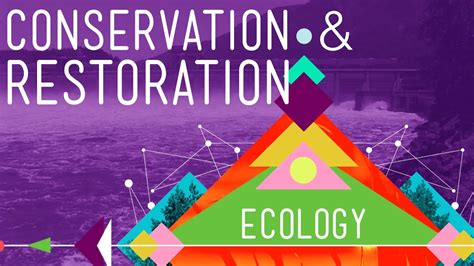 Conservation And Restoration Ecology Crash Course Ecology 12 Youtube