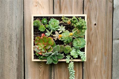 If you have extra succulents, you can squeeze more of them onto the wall hanging. Vertical Succulent Wall Planter In Quick Easy Steps | DIY ...