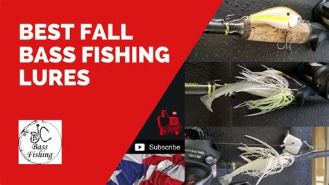 Best Fall Bass Fishing Lures For Shallow Water YouTube