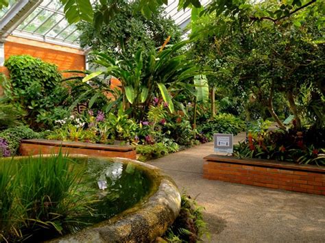 The Beautiful Matthaei Botanical Gardens Conservatory Ann Arbor Mi
