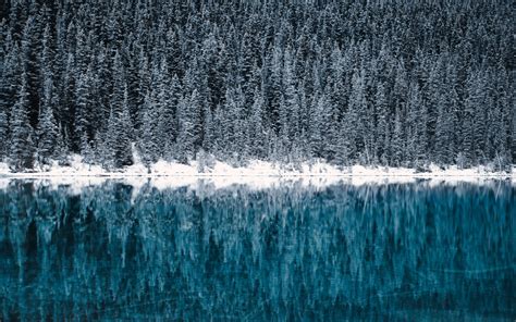 Lake Louise Wallpaper 4k Winter Cold Reflections