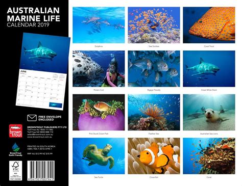 Booktopia Australian Marine Life 2019 Horizontal Wall Calendar 2019
