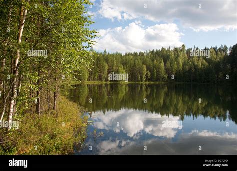 Small Forest Lake Finland Stock Photo Alamy