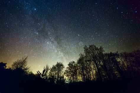 Starry Night Over Forest Stock Photo Image Of Dark Field 87846038