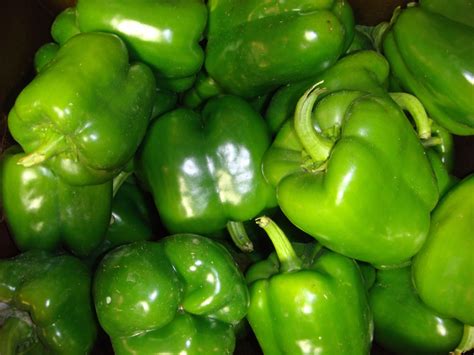 Green Bell Pepper Akin And Porter Produce