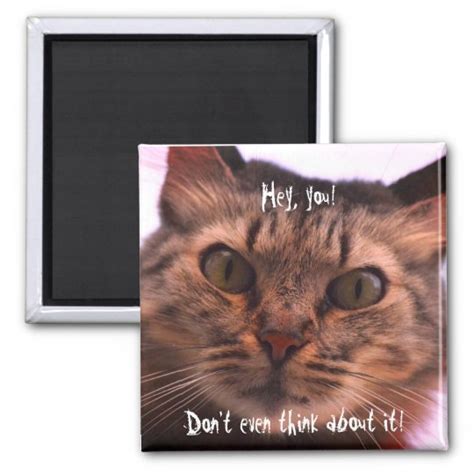 Funny Cat Fridge Magnet Uk