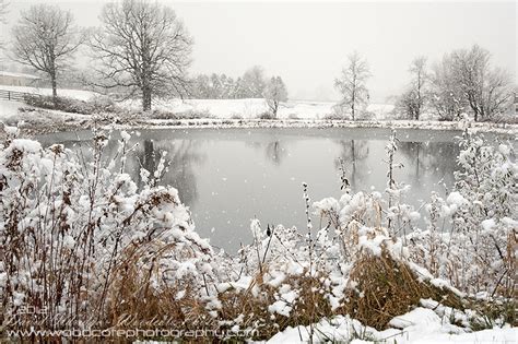 The First Snowfall Of Winter Woodcote Photography