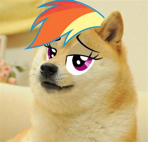 Rainbow Doge Memes Imgflip