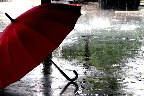 What A Personal Umbrella Policy Is And Why You Need One First