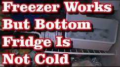 Refrigerator Repair (Fridge Is Not Cold)