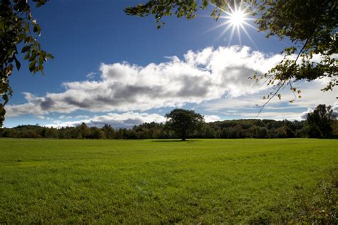 Green Field On A Sunny Day • Free Nature Stock Photo