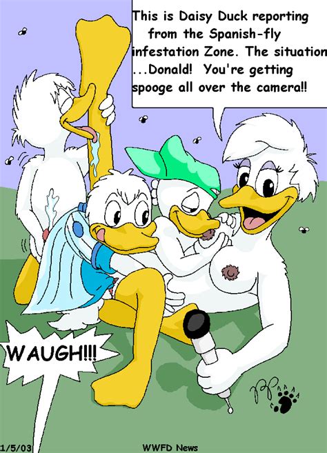 Donald And Daisy Duck Porn