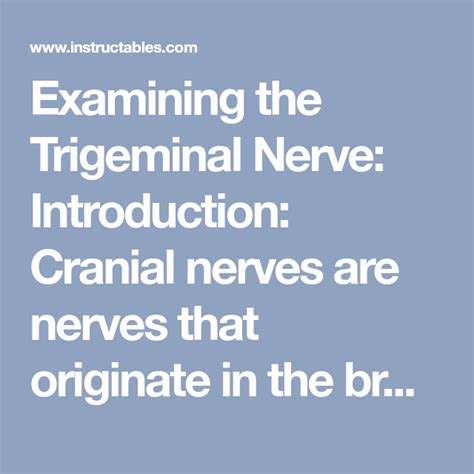 Trigeminal Nerve Graphic Cranial Nerves Cranial Nerve Nursing Sexiezpix Web Porn