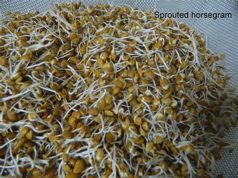 The chemical composition is comparable with commonly cultivated legumes. How to sprout Green Gram /Horse Gram/pulses | Geeths Dawath