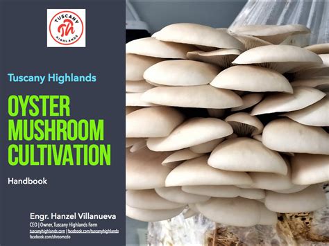 How To Grow Oyster Mushrooms For Beginners