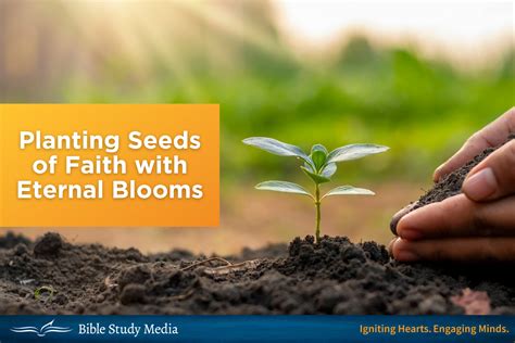 Planting Seeds Of Faith With Eternal Blooms Blog Bible