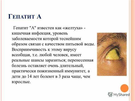 Если гепатит в детском саду - фото презентация Картинка - Если гепатит в детском саду - фото презентация