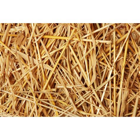 Double F Farms Premium Organic 100 Natural Straw For Animal Bedding