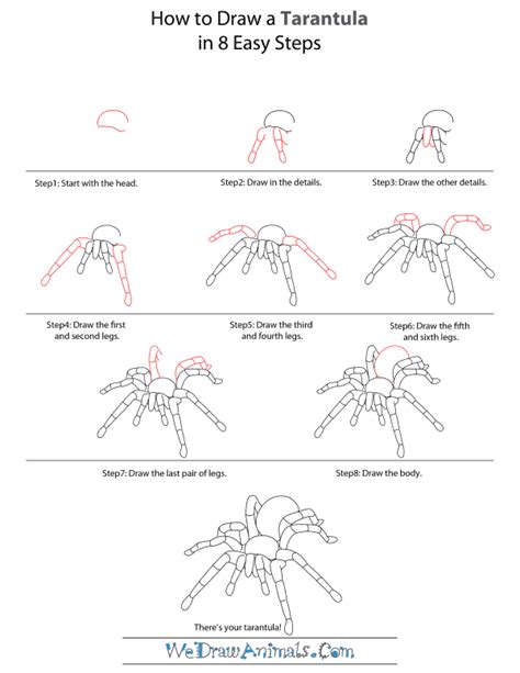 Https://techalive.net/draw/how To Draw A 3d Tarantula Step By Step