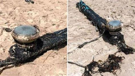 Mystery Object Washed Up On Nsw Beach Baffles Locals