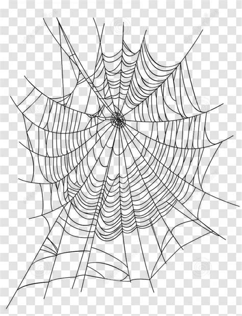 Spider Web Euclidean Vector Illustration Creative Cartoon Icon