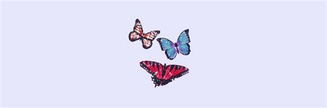 View 15 Aesthetic Pink Butterfly Twitter Header Youngcatchart