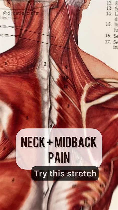 How To Fix Thoracic Mid Back Pain Relieve Back Pain Artofit