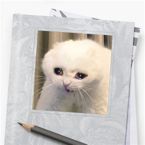 Crying Cat Meme Sticker By Cherrygloss Redbubble