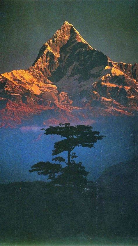 Download portrait nature wallpaper gallery. nature, Landscape, Mountains, Trees, Portrait display, Filter, Himalayas, Nepal, Snowy mountain ...