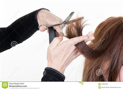 Girl Hairstylist Hairdresser Cutting Customer Woman Hair In Salon With