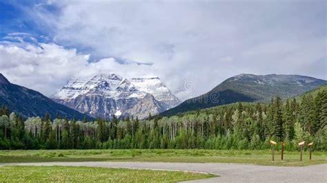 Panoramic View Of The Scenic Robson Mountain And Pine Forest In Summer