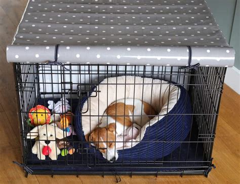 How To Crate Train Your Puppy The Gentle Way Dotty4paws