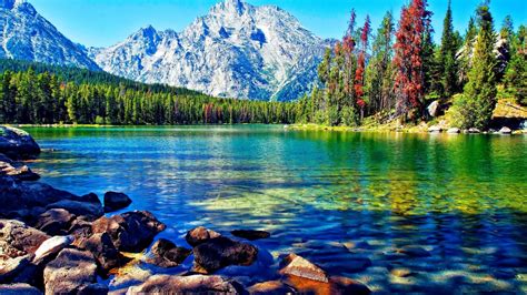 Beautiful Lake Mountain Forest Desktop Wallpapers