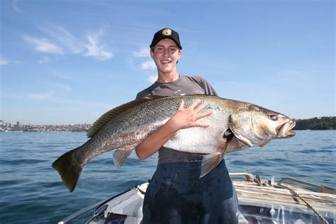 Blackspotted Croaker Fishing Species Guide Charters And Destinations
