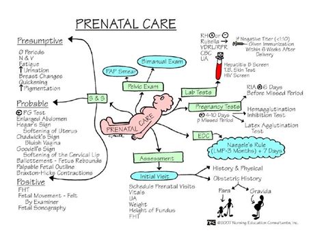 prenatal care prenatal care neonatal nurse nursing school survival