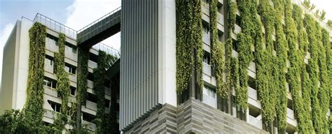 This Is Why We Should All Be Covering All Our Buildings With Plants