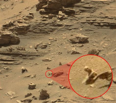 Weird Alien Devil Lizard Is Spotted Sunning Itself On A Rock On Mars