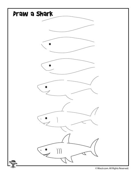 How To Draw A Shark For Kids Step By Step