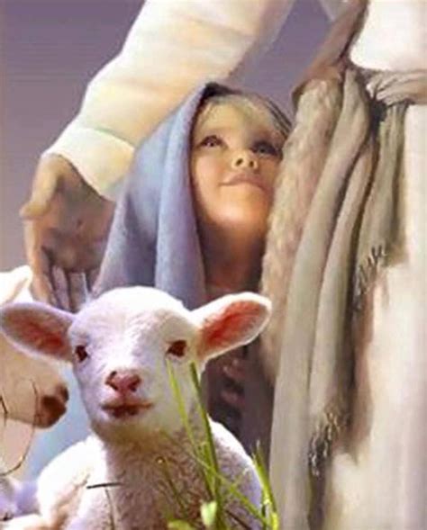 Pin De Maria Jesus En Animales Animales Riset