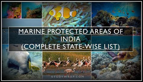 Marine Protected Areas In India Complete State Wise List Study Wrap