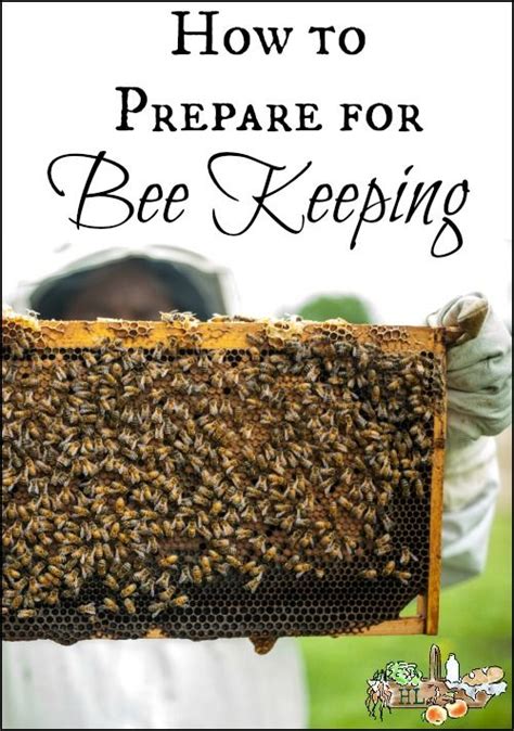 How To Start Beekeeping Beekeeping For Beginners Honey Bees Keeping