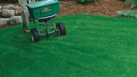 Real Green Traditional Lawn Care Programs In Berkeley Heights Nj 1