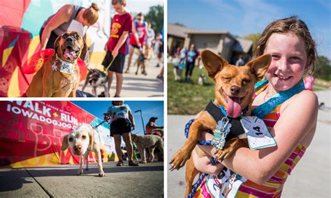 Animal Rescue League Of Iowa Dog Jog Benefiting Homeless Pets
